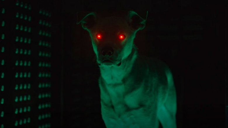 Krypto from the post-credits scene