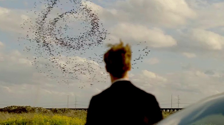 Rust Cohle checks out bird spiral