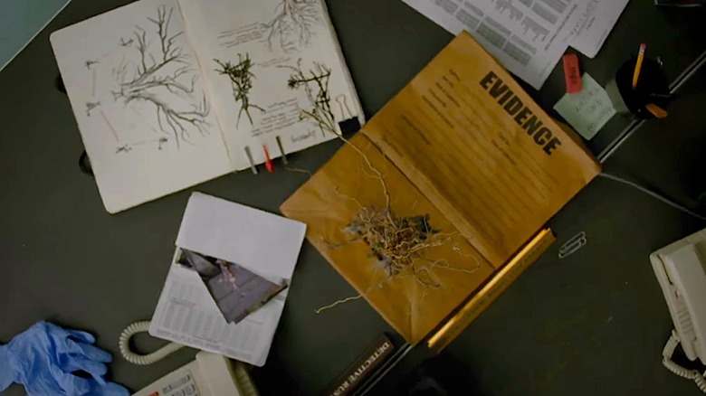 Cult evidence in True Detective