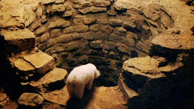 Buffalo Bill's dog peering into the pit