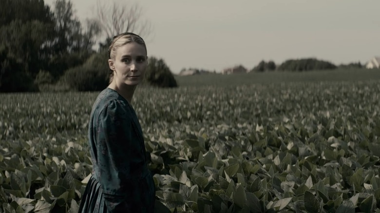 Ona standing in a field