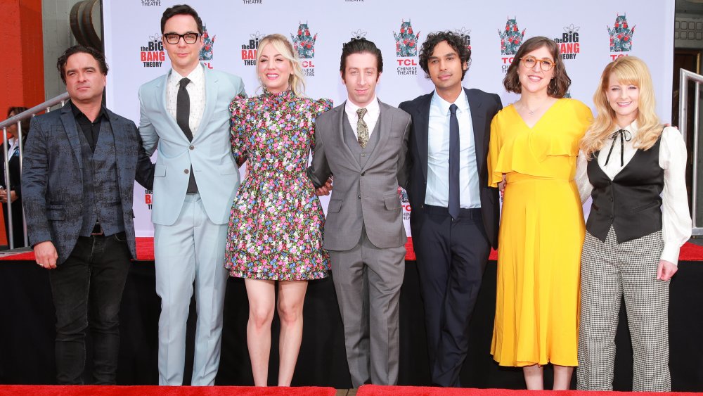 the big bang theory cast