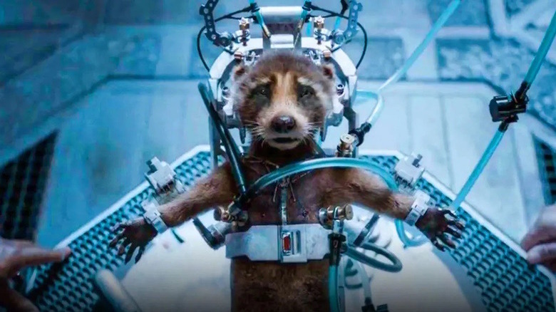 Young Rocket Raccoon being experimented on