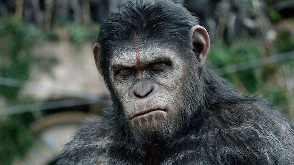 Caesar in Dawn of the Planet of the Apes