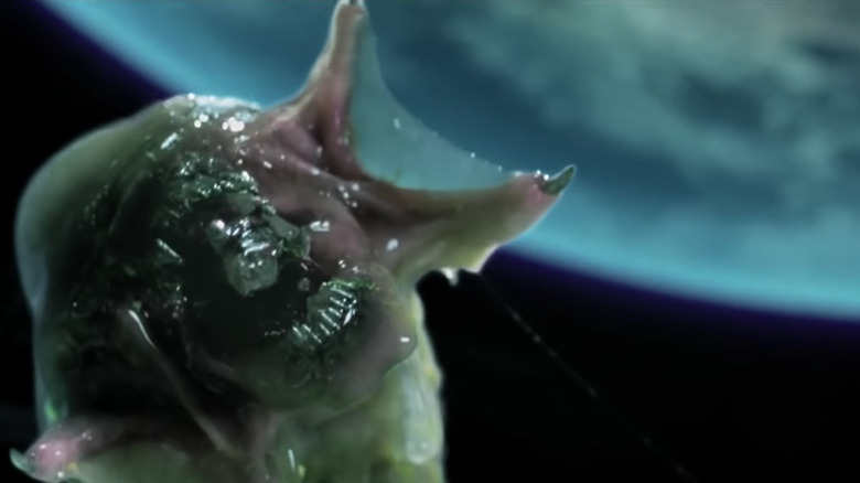 Predalien screaming in space