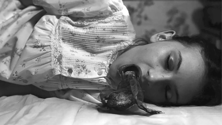 Frog moth and young girl