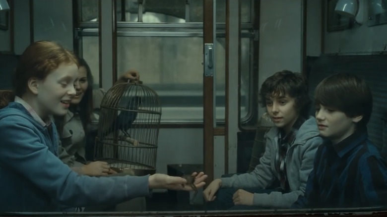 Rose, Albus, James on Hogwarts Express