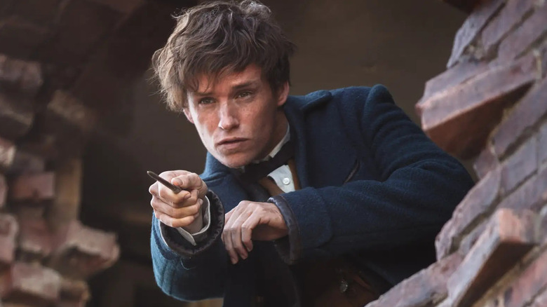 Newt Scamander from Fantastic Beasts