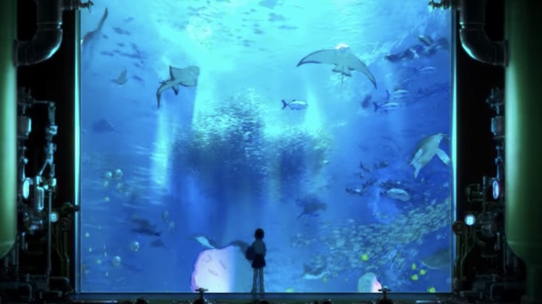 Ruka in the aquarium looking for Umi