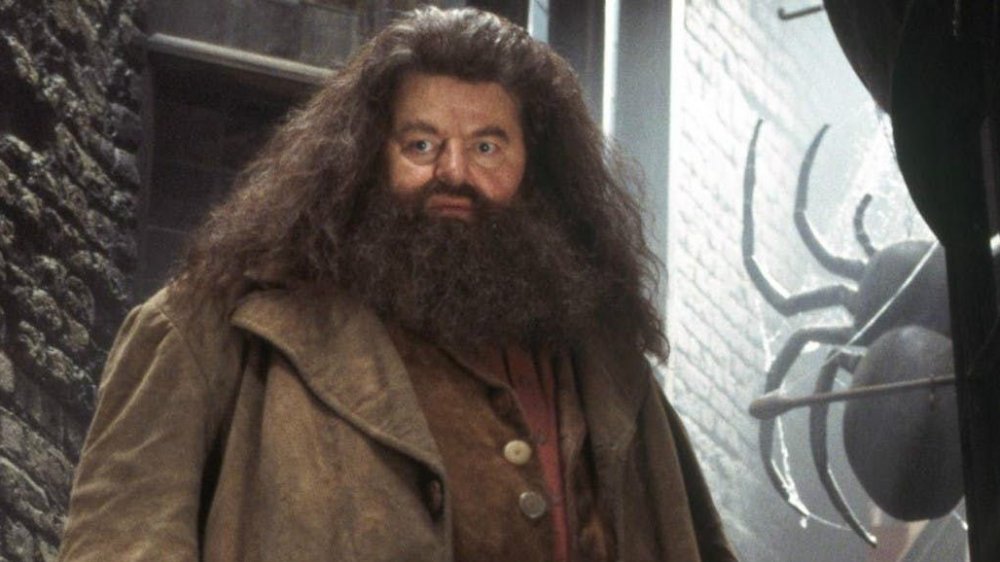 Robbie Coltrane as Hagrid in Harry Potter