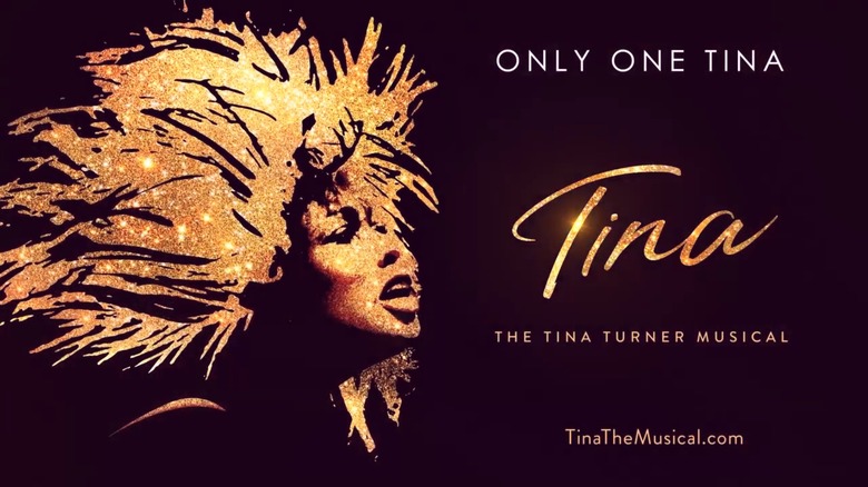 Tina Turner musical promo