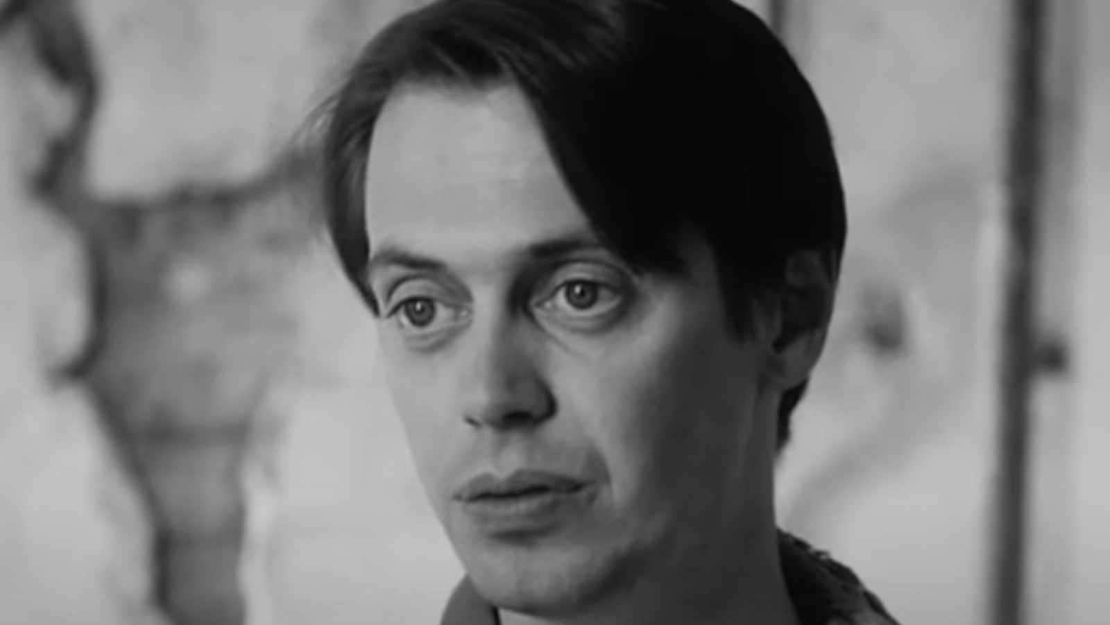 The Forgotten Steve Buscemi Comedy You Can Find On Amazon
