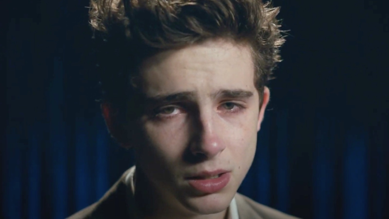 The Forgotten Timothée Chalamet Dramedy You Can Catch On Hulu