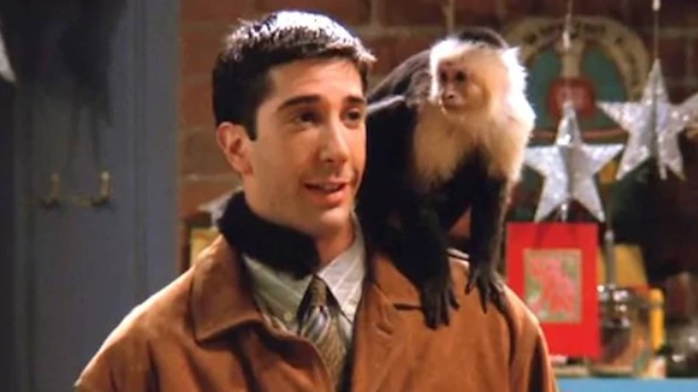 Marcel sits on Ross' shoulder in Friends