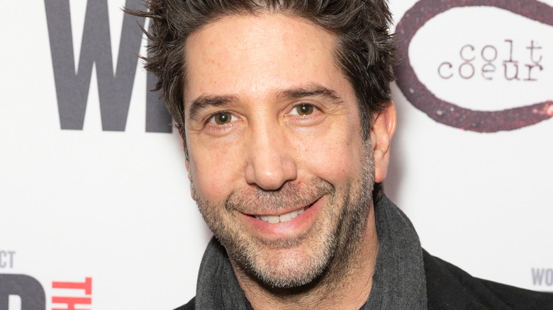 David Schwimmer smiling