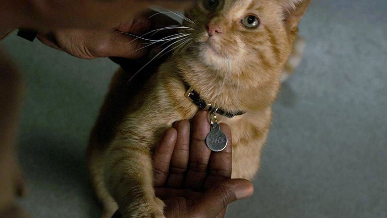 Goose in Captain Marvel