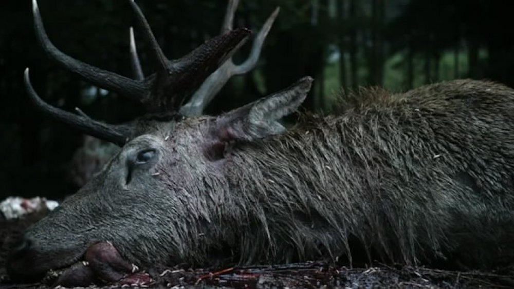 A dead stag in Game of Thrones