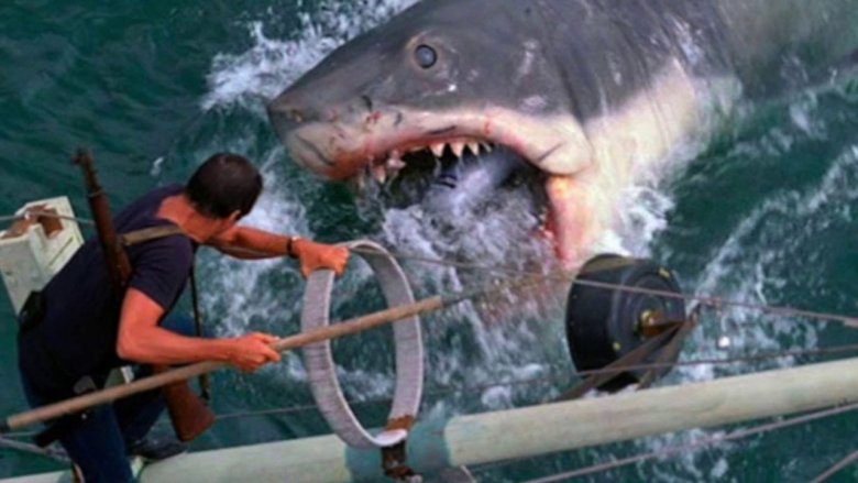 Scene from Jaws