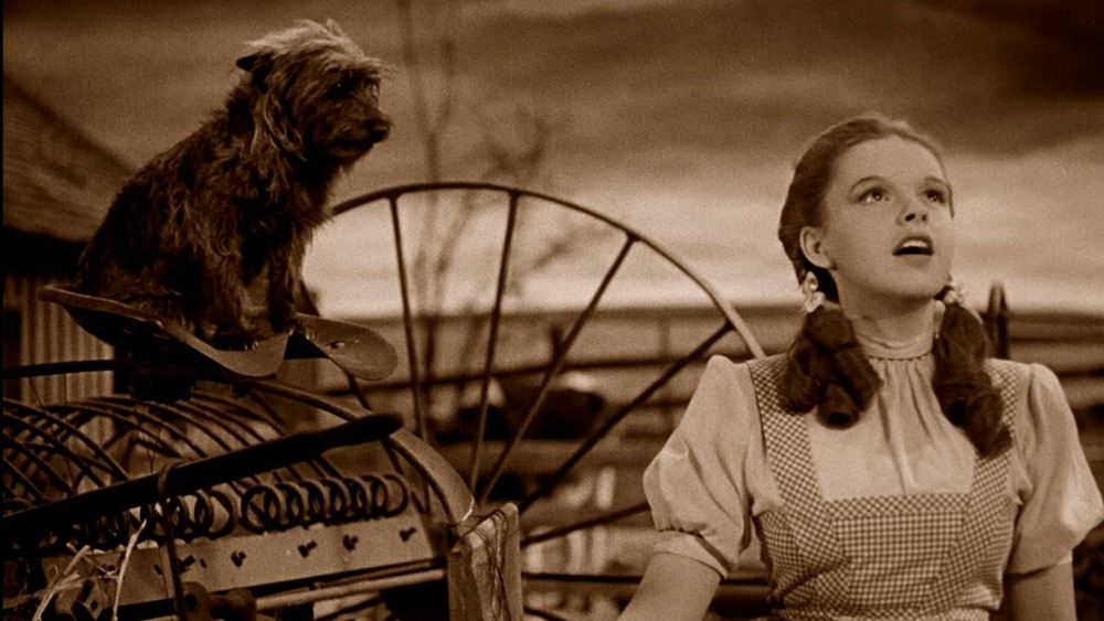 Judy Garland in The Wizard of Oz