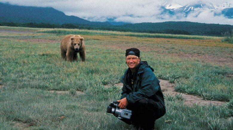 Timothy Treadwell near bear