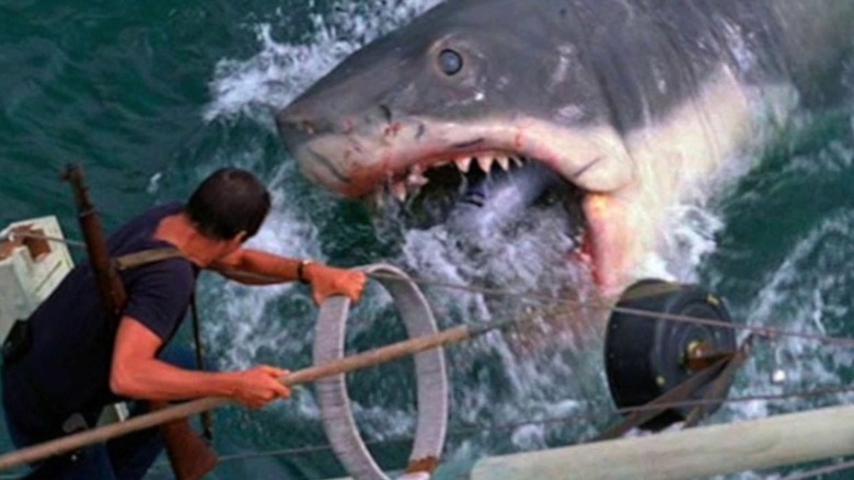 Brody vs. shark in Jaws