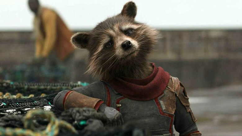 Rocket Raccoon leans on table