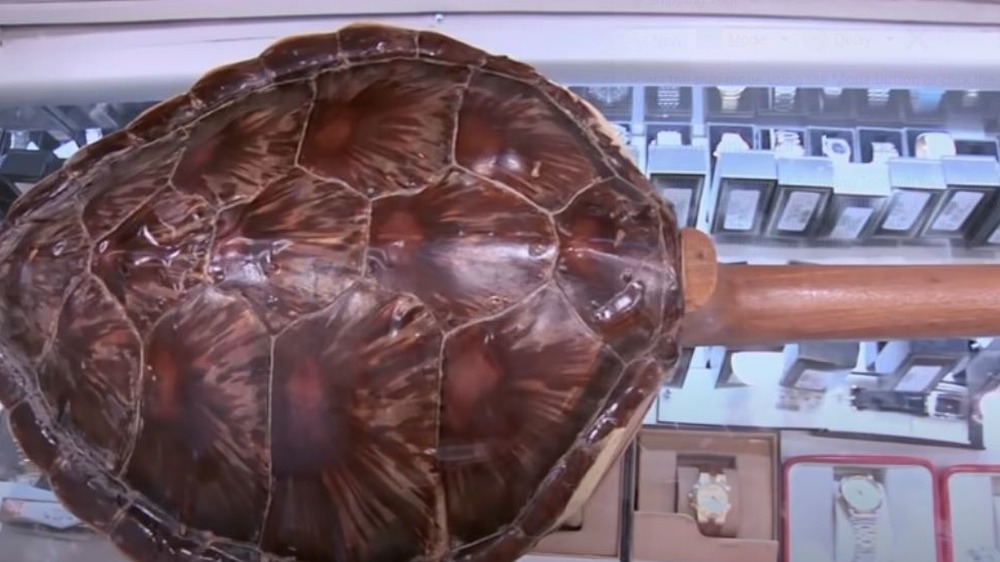 The turtle shell guitar on the Pawn Stars counter