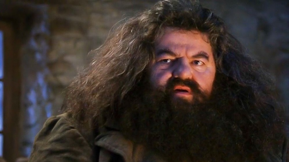 Rubeus Hagrid frowning