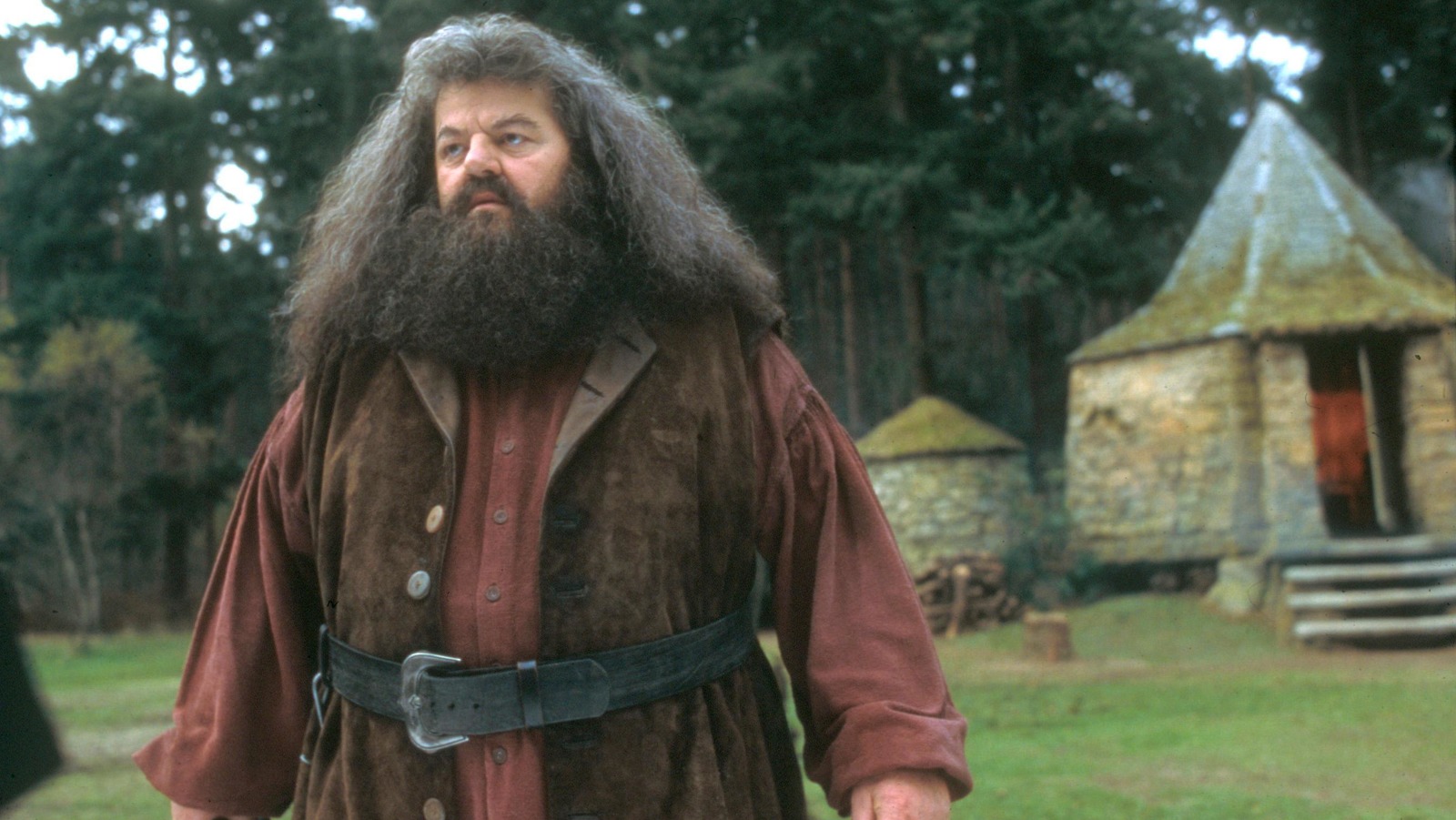 The Hagrid Line In Sorcerers Stone That Puzzles Harry Potter Book Fans