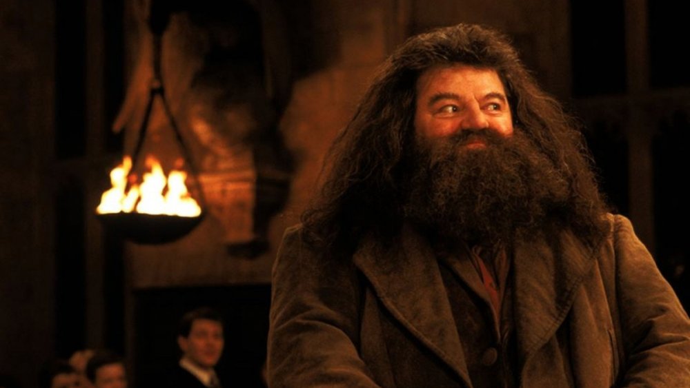 Robbie Coltrane in Harry Potter