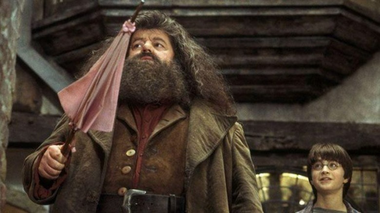 Hagrid and Harry Potter indoors