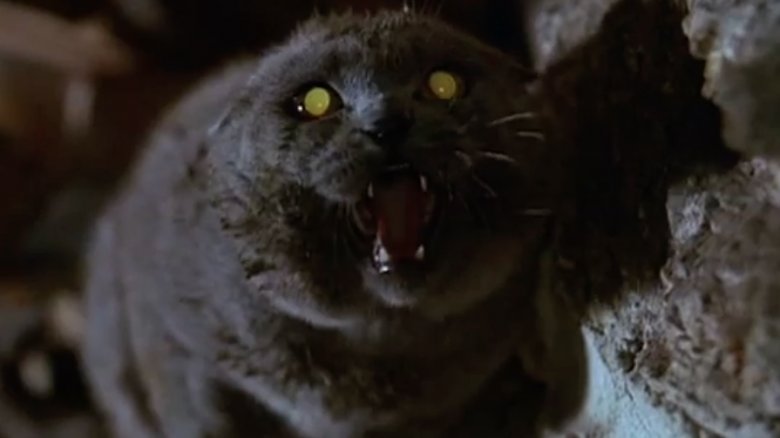 Pet Sematary