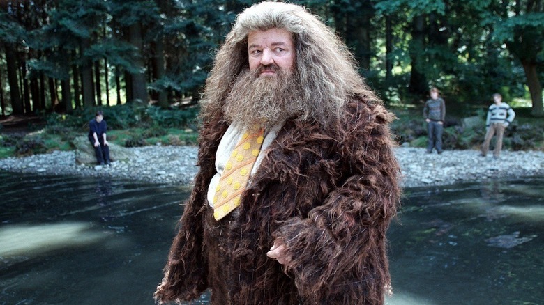 Hagrid looking nervous 