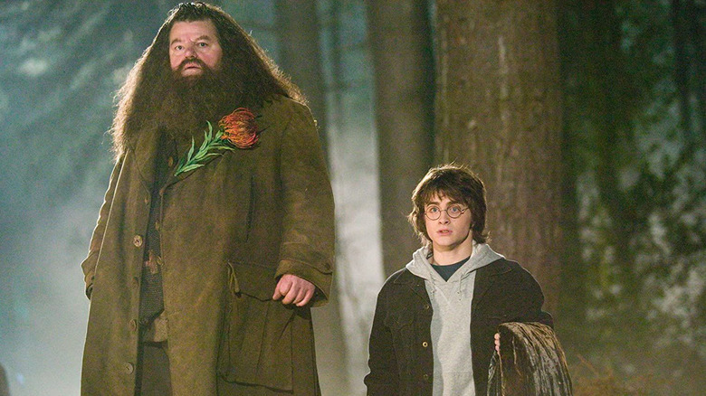 Harry and Hagrid