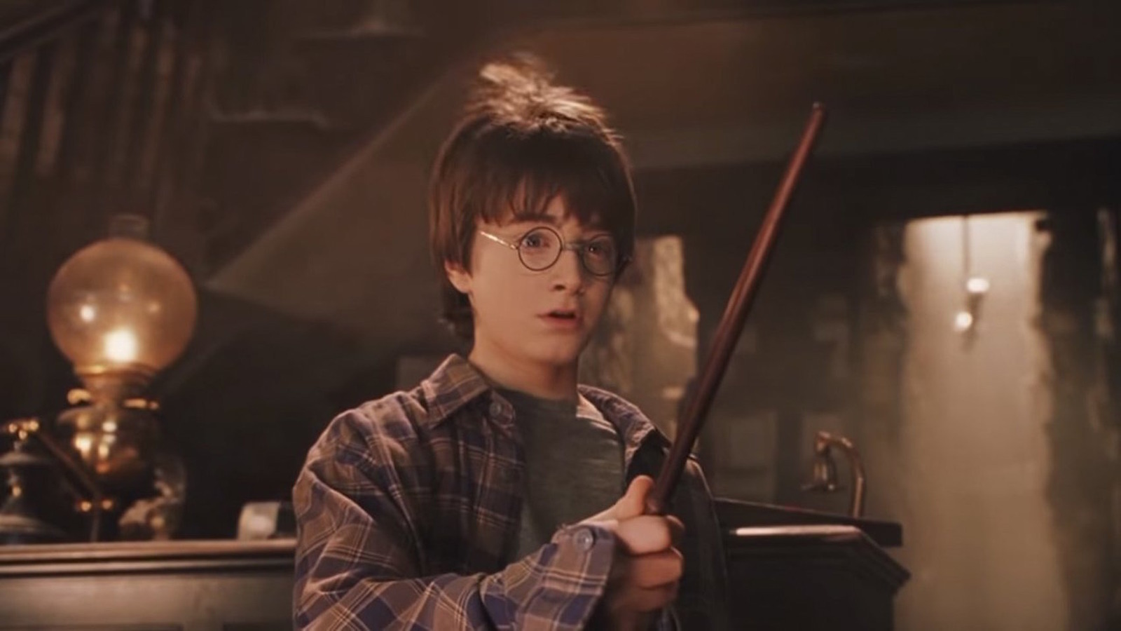 The Harry Potter Character Only Book Fans Know Had An Even Bigger Role