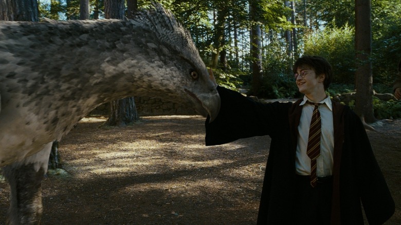 Buckbeak Harry Potter 