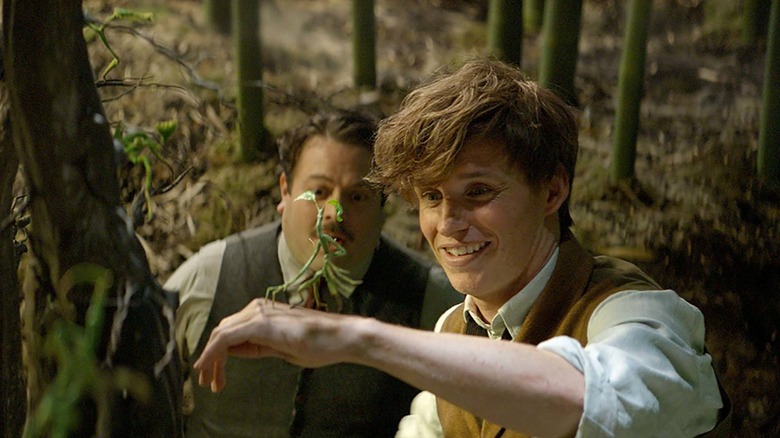 Jacob Kowalski Newt Scamander bowtruckle