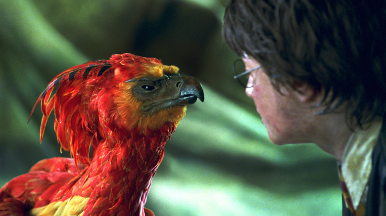 Fawkes phoenix Harry Potter