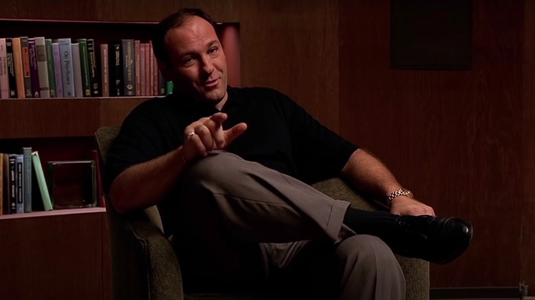 Tony Soprano in therapy 