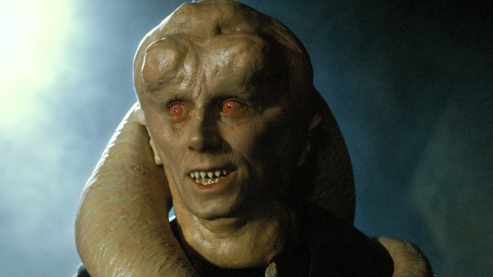 Bib Fortuna