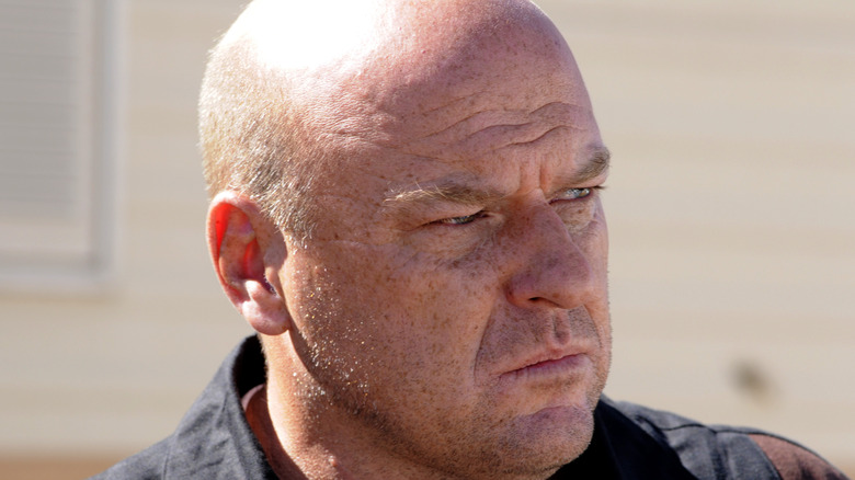 Hank Schrader looking grim