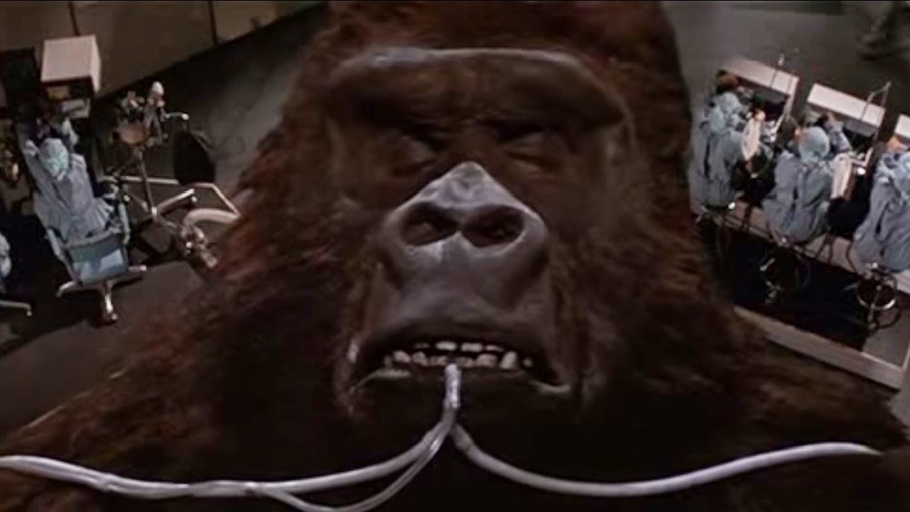 King Kong on life support