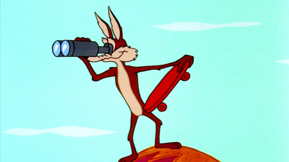 Wile  E. Coyote in Out and Out Rout