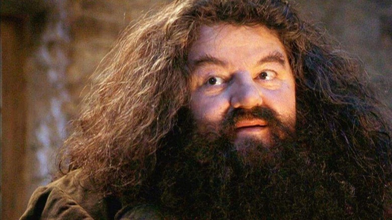 Hagrid close-up