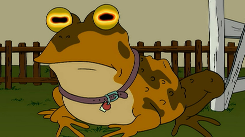 Hypnotoad staring at the camera