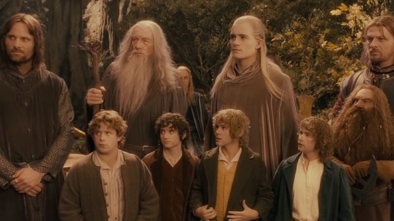 Fellowship of the Ring members standing together