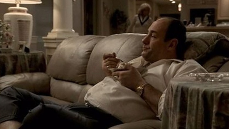 Tony Soprano watching TV