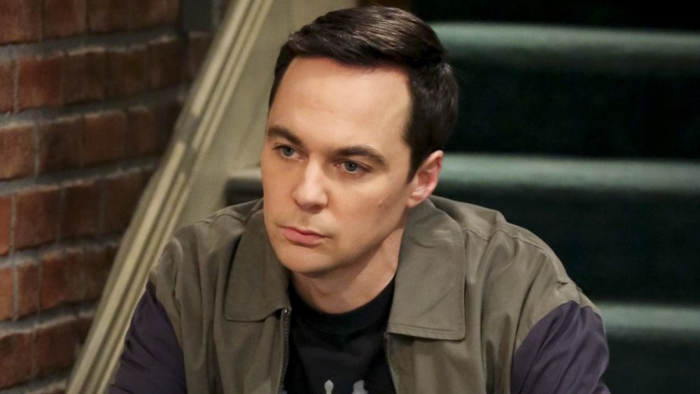 Sheldon Cooper would certainly accept a theory regarding alternate dimensions