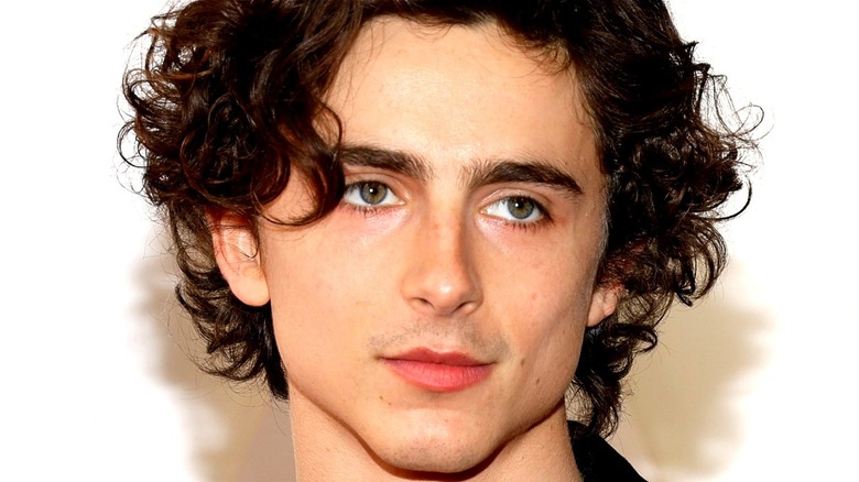 The Interstellar Character You Likely Forgot Timothee Chalamet Played