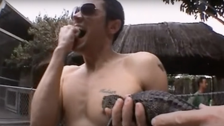 Johnny Knoxville bitten by a baby alligator